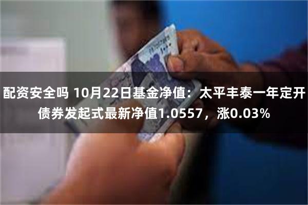 配资安全吗 10月22日基金净值：太平丰泰一年定开债券发起式