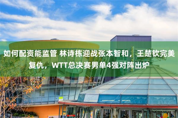 如何配资能监管 林诗栋迎战张本智和，王楚钦完美复仇，WTT总