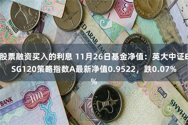 股票融资买入的利息 11月26日基金净值：英大中证ESG12