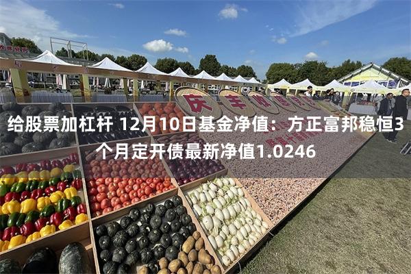 给股票加杠杆 12月10日基金净值：方正富邦稳恒3个月定开债