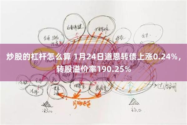 炒股的杠杆怎么算 1月24日道恩转债上涨0.24%，转股溢价