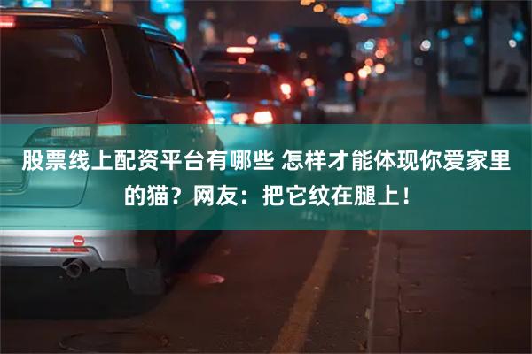 股票线上配资平台有哪些 怎样才能体现你爱家里的猫？网友：把它