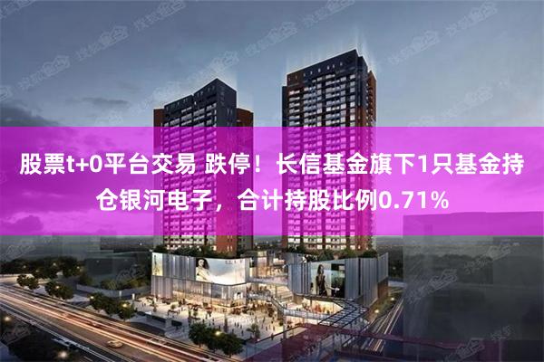 股票t+0平台交易 跌停！长信基金旗下1只基金持仓银河电子，