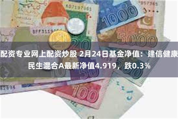 配资专业网上配资炒股 2月24日基金净值：建信健康民生混合A